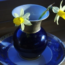 Daffodils, blue, jug