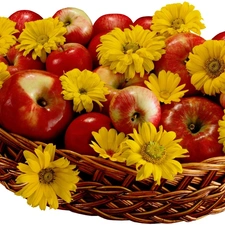 basket, Yellow, daisy, apples