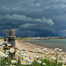 sea, clouds, daisy, dark