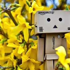 Danbo, Spring, Forsythia