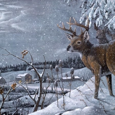 small, winter, David H. Bollman, fawn