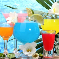 decor, color, drinks