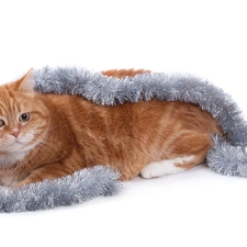 ginger, chain, decorated, cat