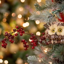 decoration, Park, owl, Plant, trees