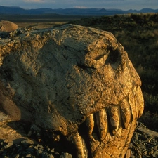 dinosaur, mountains, skull