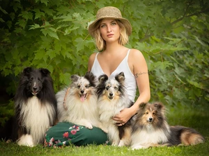 Women, Dogs, Shetland Sheepdogs, Hat