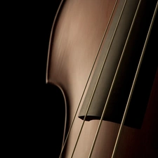 double-bass