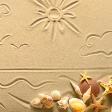 Sand, Shells, starfish, Drawing