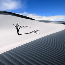 Dunes, sapling, Sand, embers, Desert