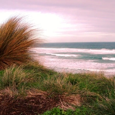 sea, grass, Dunes, Waves