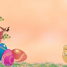 chicken, Flowers, Easter, eggs