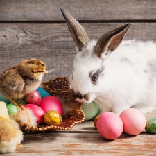 basket, Easter, chickens, eggs, Rabbit