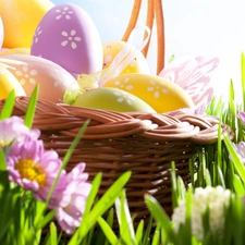 Easter, basket, eggs