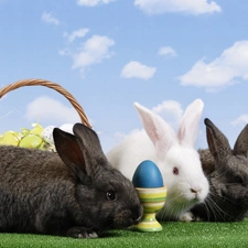 Three, basket, egg, Rabbits