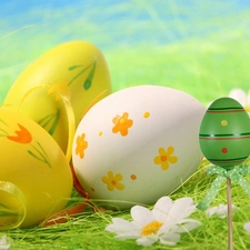 eggs, easter, grass, daisy, Green