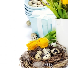Easter, quail, eggs, Tulips