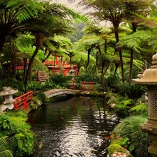 eye, water, bridges, Plants, Garden