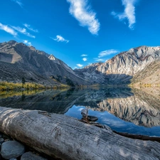 fallen, trees, lake, Stones, Mountains