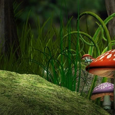 toadstools, fantasy