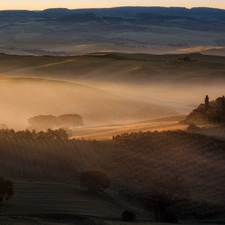 field, The Hills, Fog, trees, Houses, Tuscany, Italy, viewes