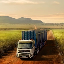 lorry, Way, Field, Volvo cars