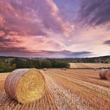 west, clouds, Field, sun