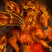 fire, Horse, ##