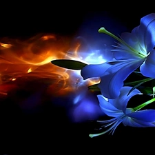 flame, graphics, Flowers