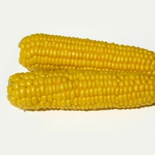 corn-cob, Two, flask