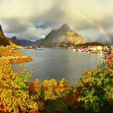 flourishing, Bush, lake, Great Rainbows, Mountains