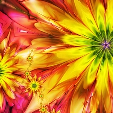 abstraction, Flowers
