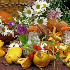 Flowers, mushrooms, basket