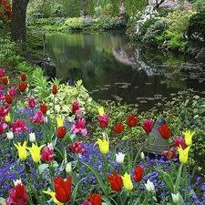 Flowers, Park, brook