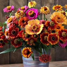 Helenium, color, Bucket, Flowers, bouquet, Zinnias, boarding