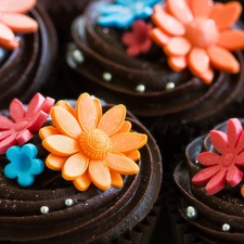 chocolate, color, Flowers, Cookies