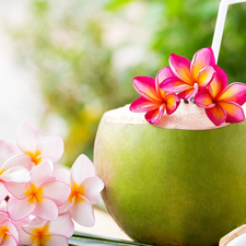 Colourfull Flowers, Coconut, Straw, Plumeria