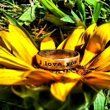 ring, Colourfull Flowers