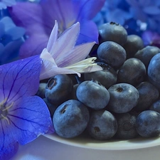 Flowers, blueberries, dish