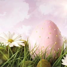 easter, grass, Flowers, egg