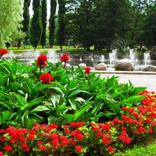 Flowers, fountain, flowerbed, Red, Park