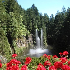 Flowers, fountain, mountains, Red, The wooded