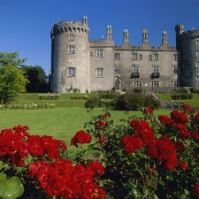 Flowers, Castle, Garden