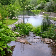 Garden, Plants, Flowers, pond