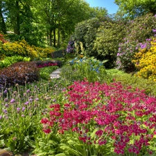 Garden, Flowers