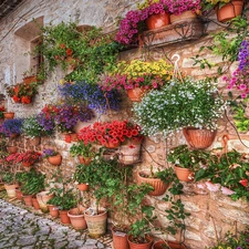 Flowers, Spring, house