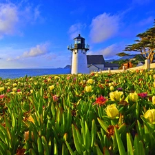 Lighthouse, sea, Flowers, maritime