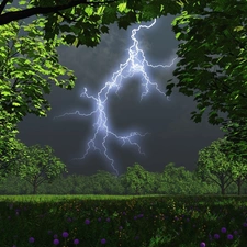 Storm, viewes, Flowers, trees