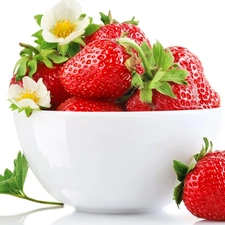Flowers, bowl, strawberries