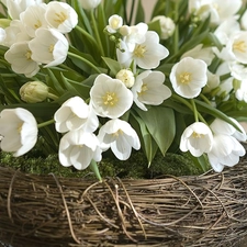 wicker, White, Flowers, basket