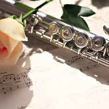 flute, rose, Tunes